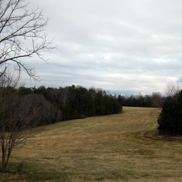 Humanity Hall Fields