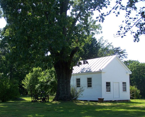 Fran_Chestnut-Grove_Restored_SRR