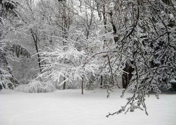 Slate River Ramblings_Snow-Day-2013