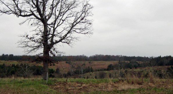 Slate River Ramblings_Harris-Farm_2009