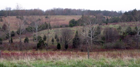 Slate River Ramblings_Harris-Farm_2009_Marrs-Creek