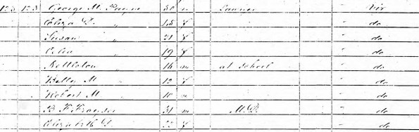 1850_Payne_George M_Florida_detail