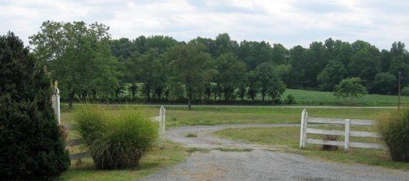 SRR_2015_Third Anniversary